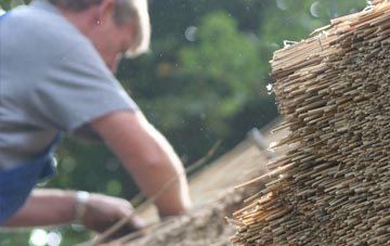 professional Treberfydd thatchers